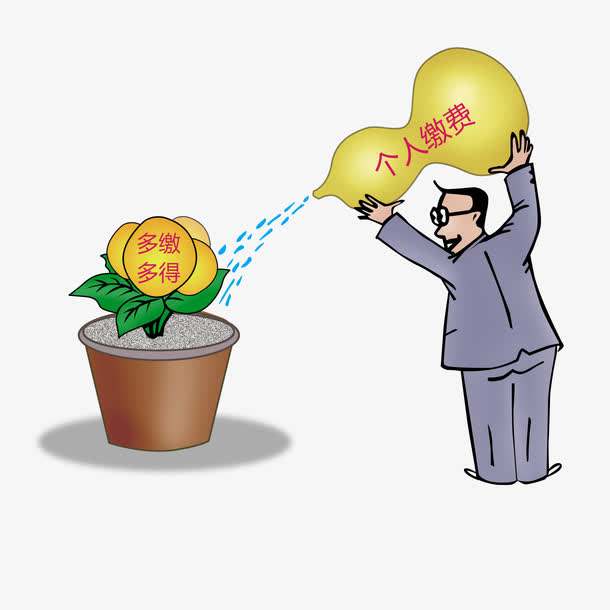 养老保险个人怎么交?缴费档次是什么? 第1张 养老保险个人怎么交?缴费档次是什么? 第1张